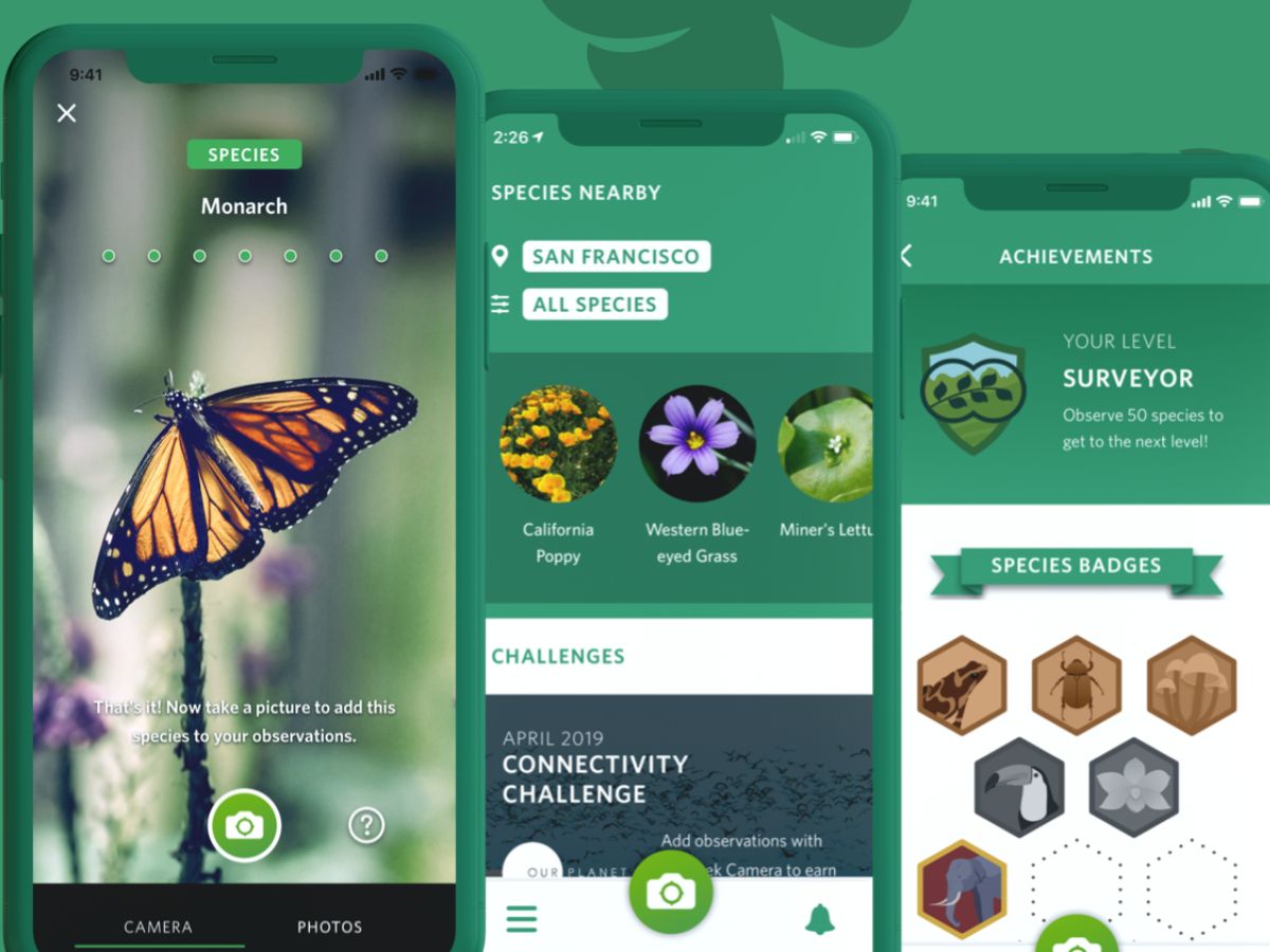 iNaturalist is one of the top 10 plant apps