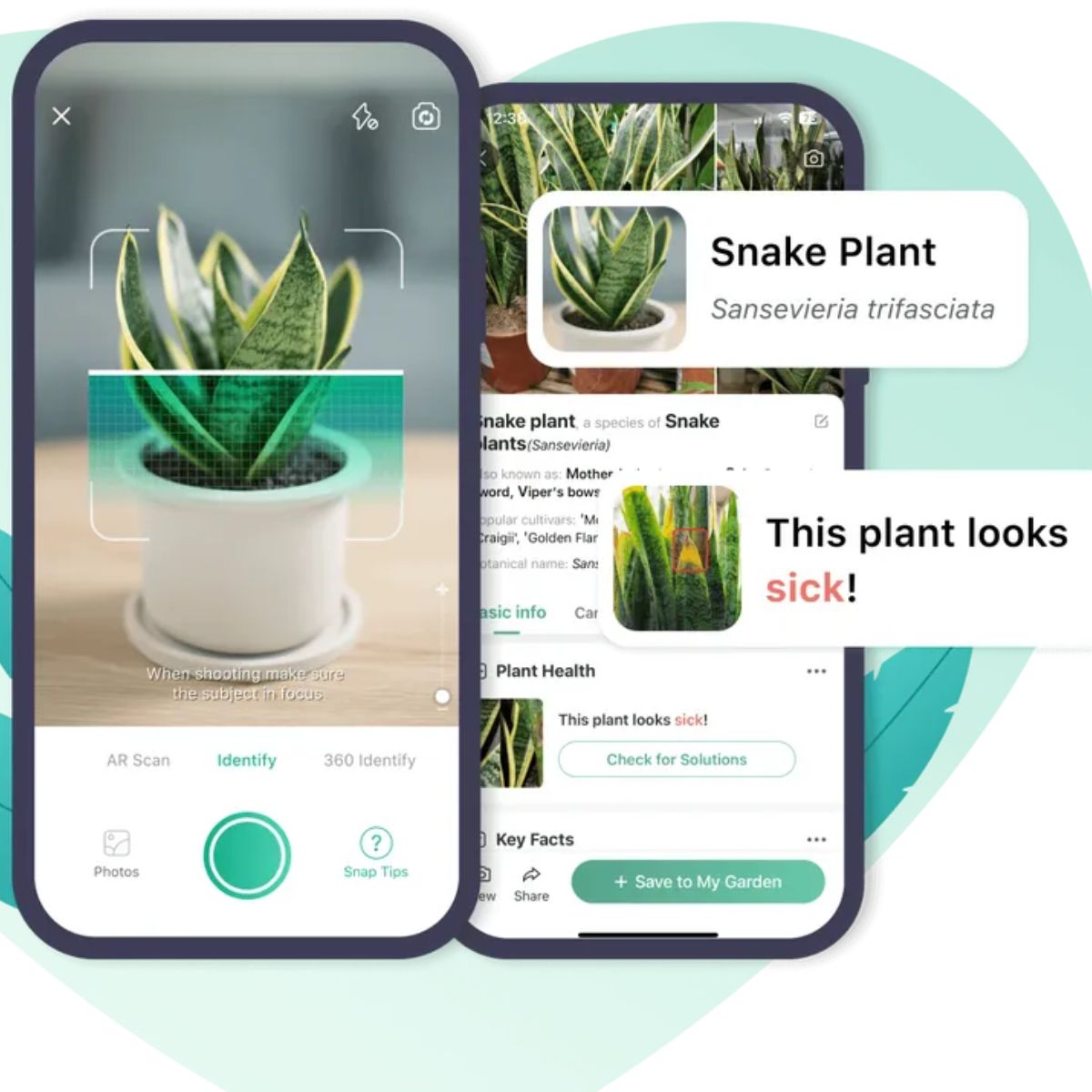 Picture This app provides plant names and varieties