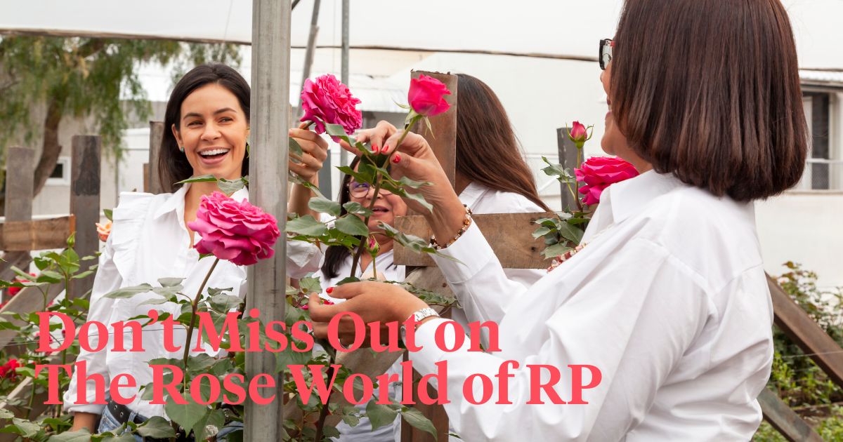 Rose world of Rosaprima