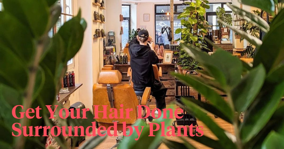 Hair salon with plants