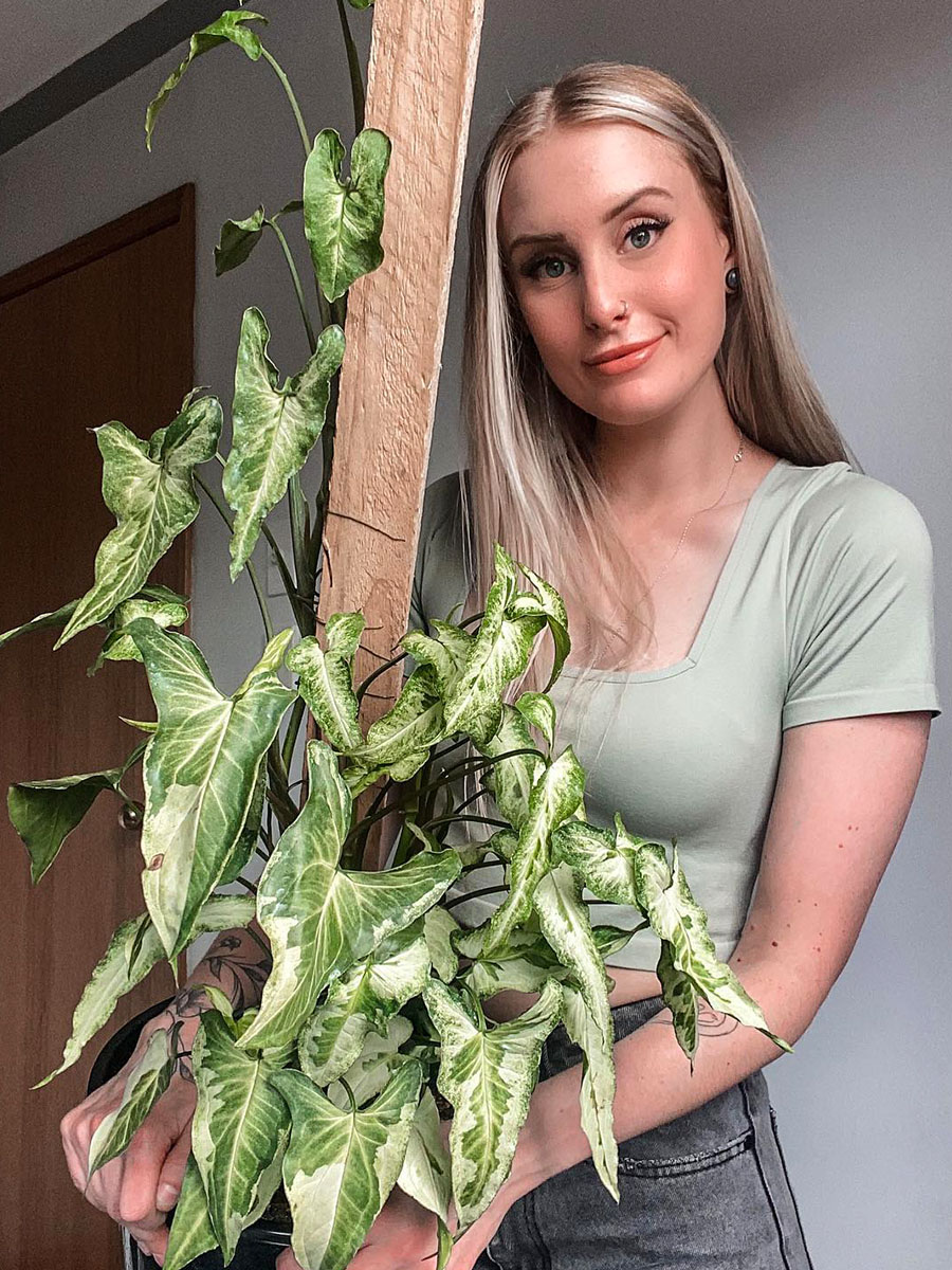Girl with Arrowhead Plant