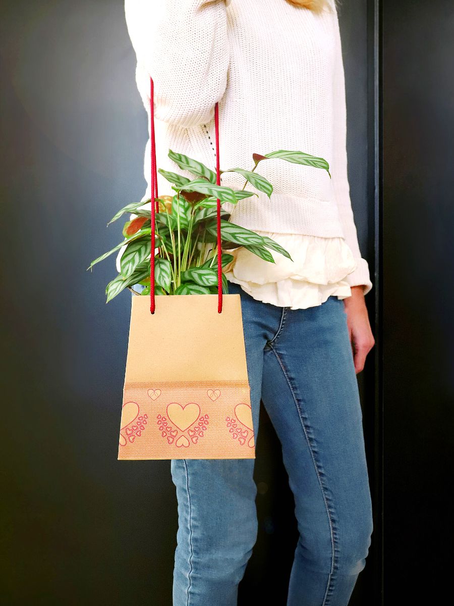 Valentines Day bag to gift plants by Clayrton's