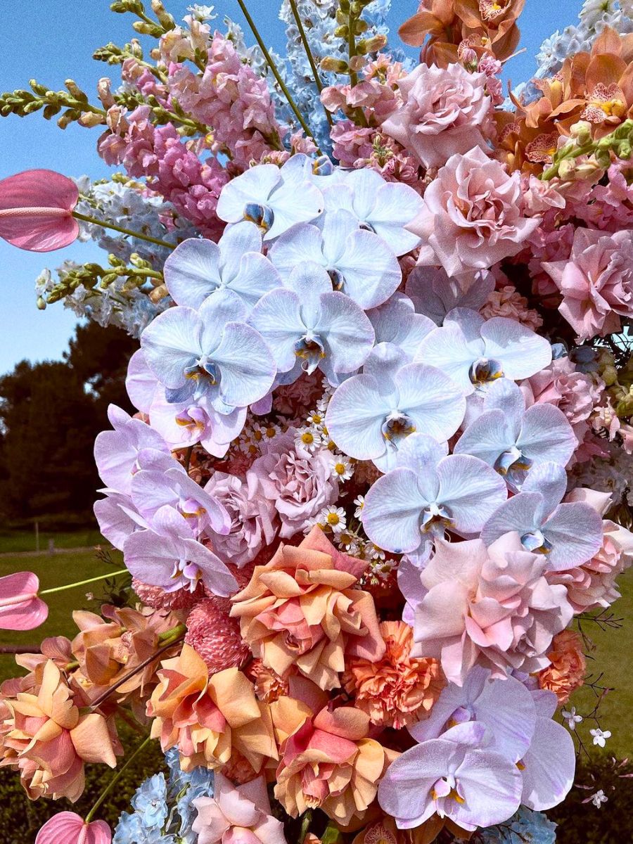 Spectacular floral composition by Brett Matthew John