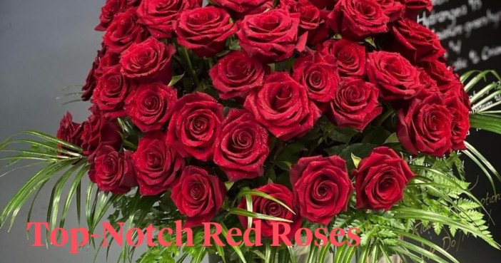 The History of the Rose - The Queen of Valentine’s for Over 1700 Years