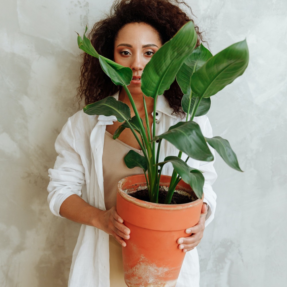 women holding plant for home