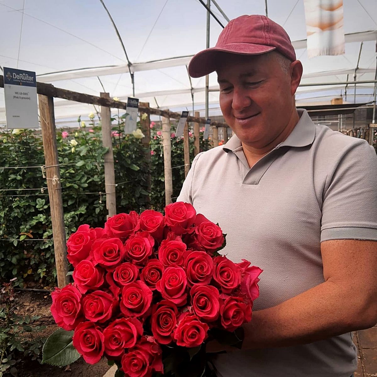 Ecuador’s Flower Industry Remains Upbeat This Valentine’s