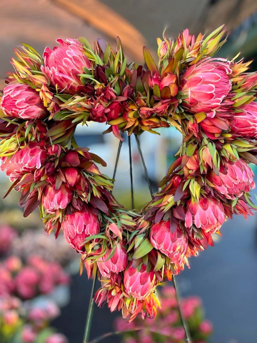Protea valentines day wreath