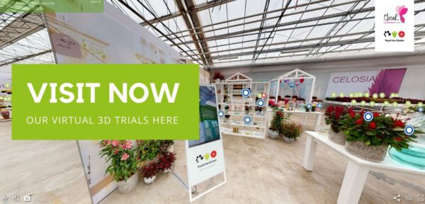 Join Royal Van Zanten's Digital Plant Tour - Virtual Trials 1