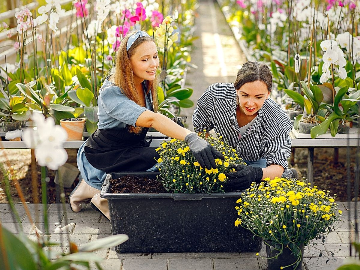 ​Flowers Can Help Beat the Winter Blues