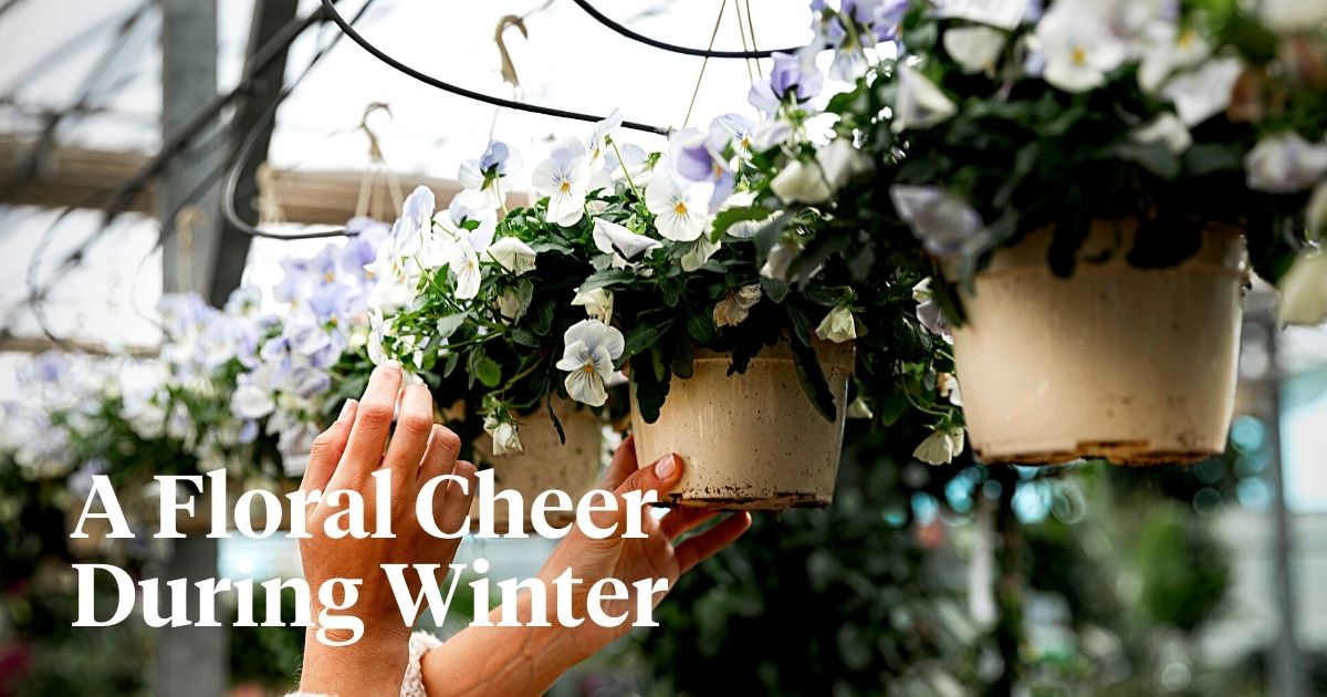 This Is How Flowers Can Help You Beat the Winter Blues and Bring Cheer