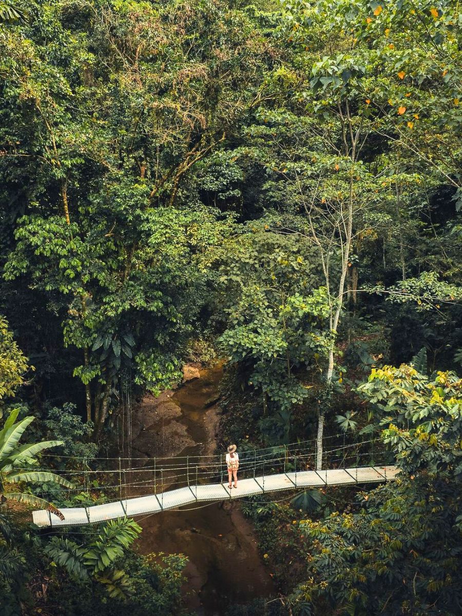 Yacuma Eco Lodge in Ecuadorian rainforest