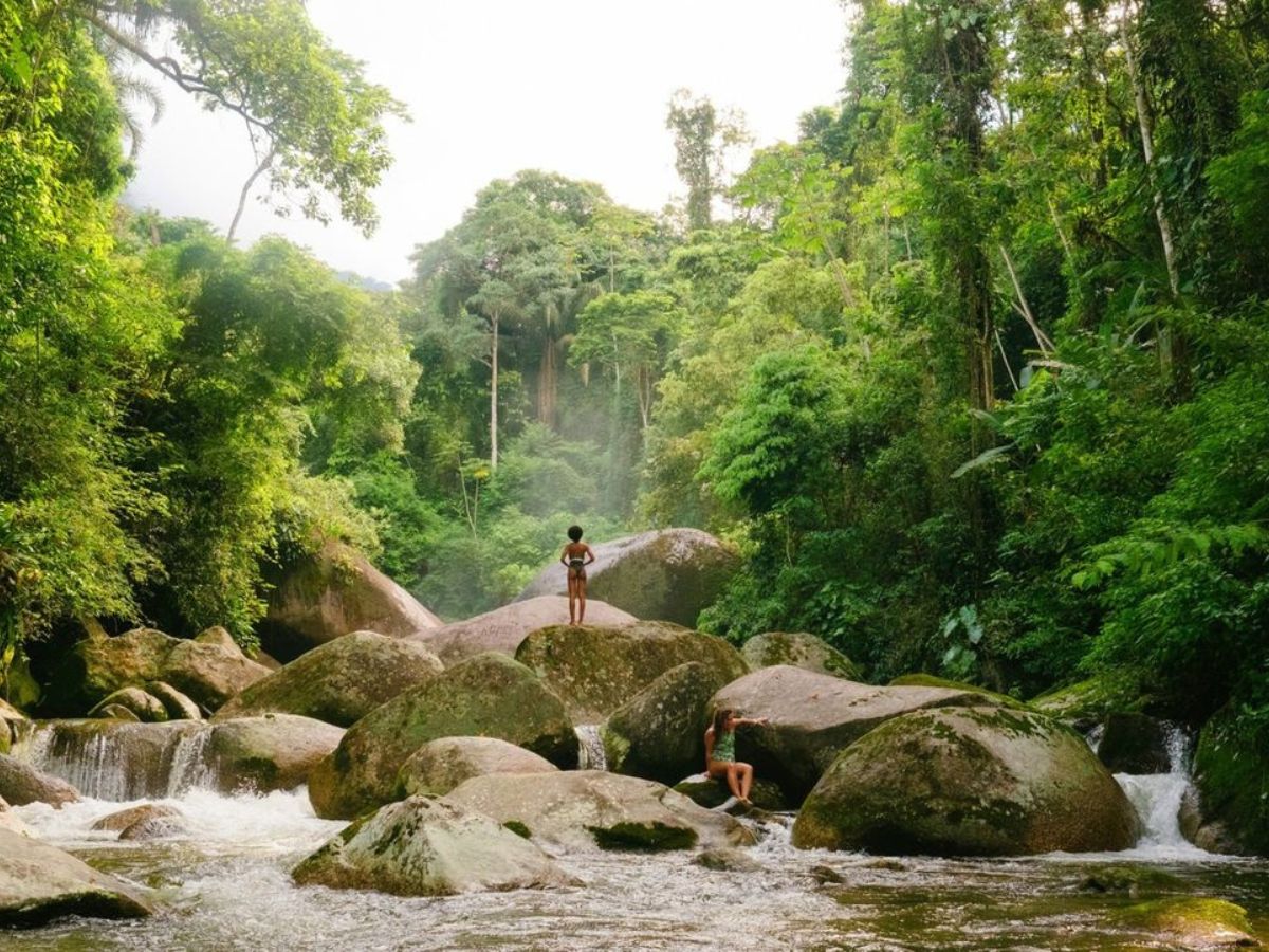 The extraordinary beauty and power of the Brazilian rainforest
