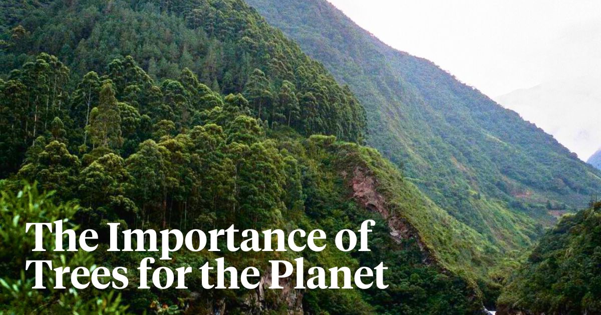 The importance of trees for the planet