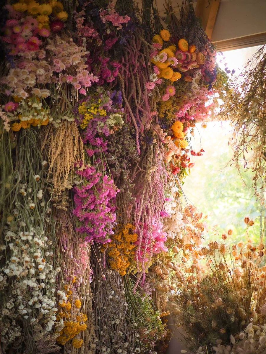 Dried flower paradise by Bex Partridge