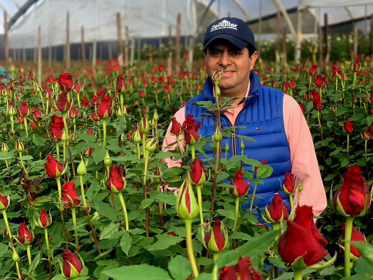 Valentines Day for growers Josarflor
