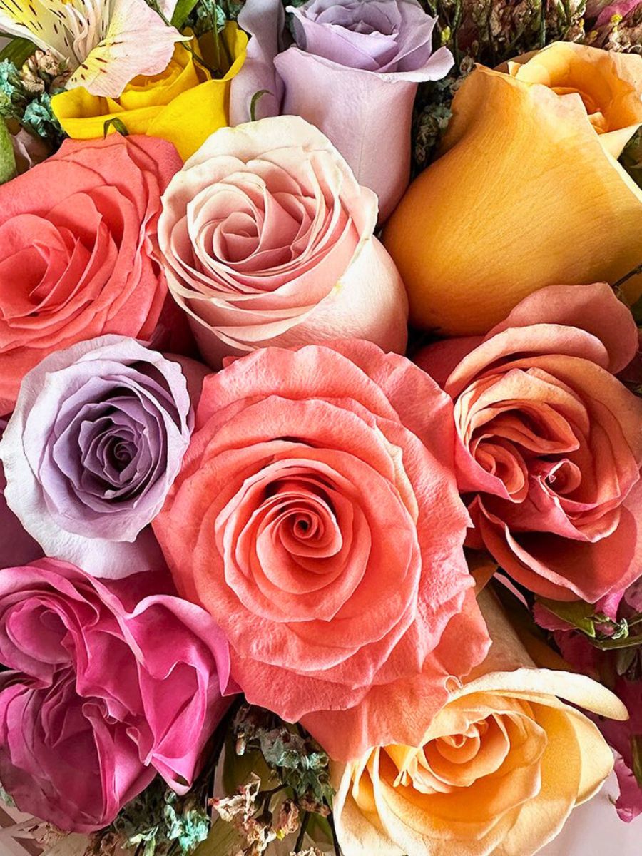 EQR rose varieties from Ecuador
