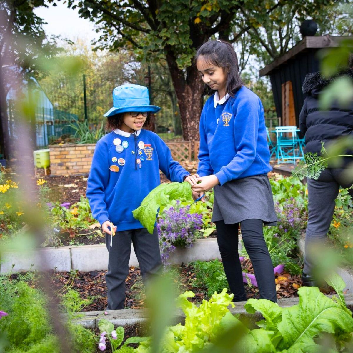 Young children learning to garden