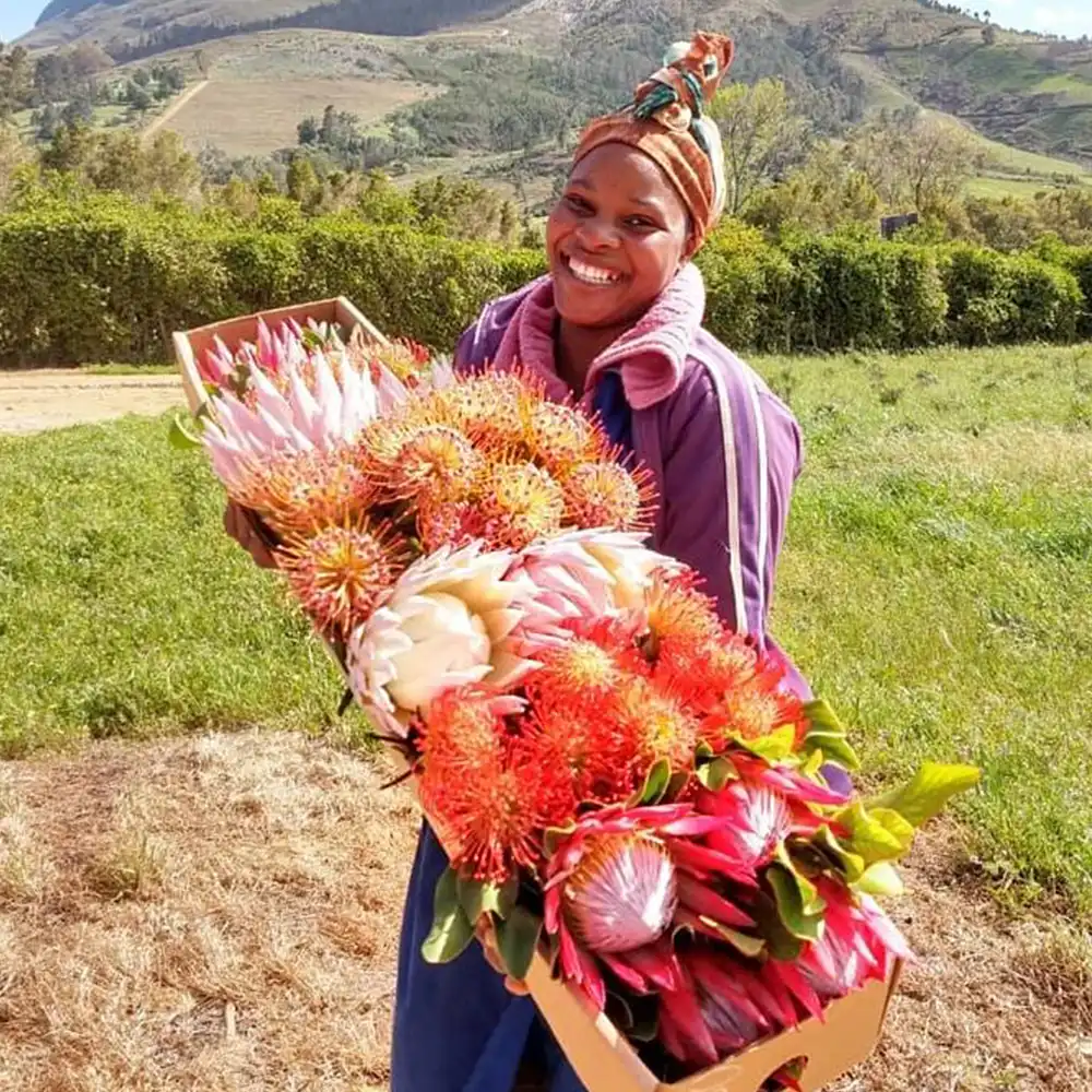 Cape Mountain Flora grower on Thursd feature