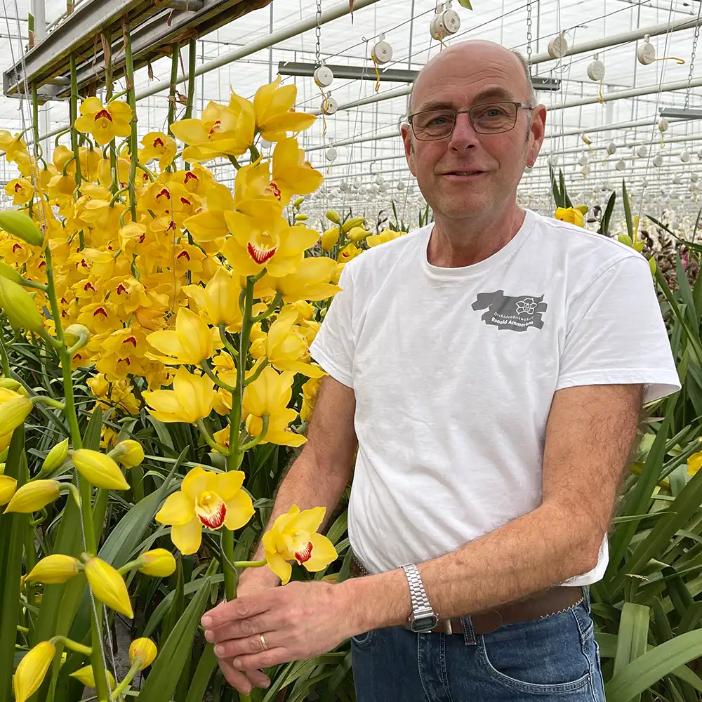 Ronald Ammerlaan grower on Thursd feature