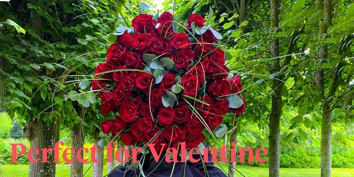 De Ruiters Red Roses for Valentines Day header