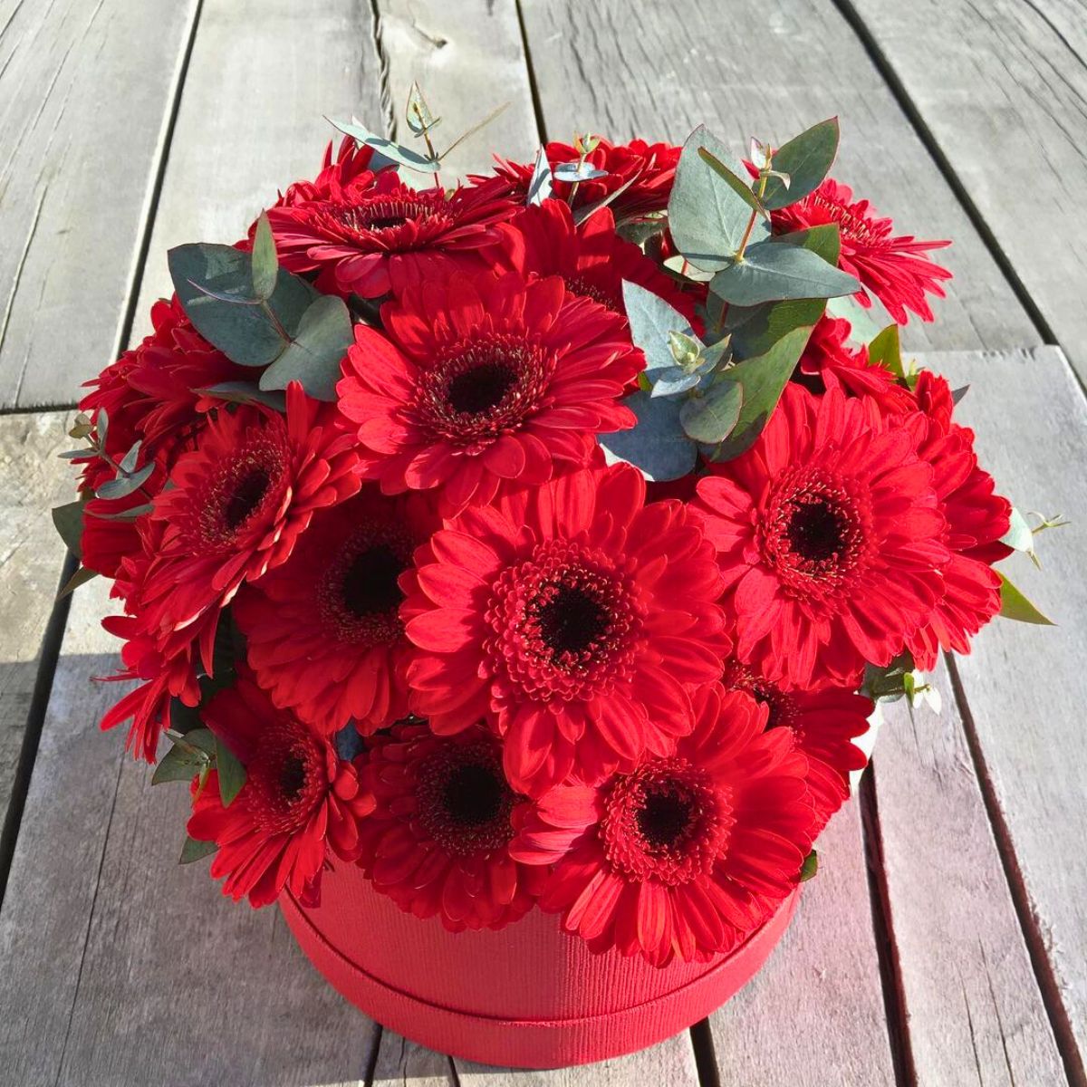 Red gerberas for Vday