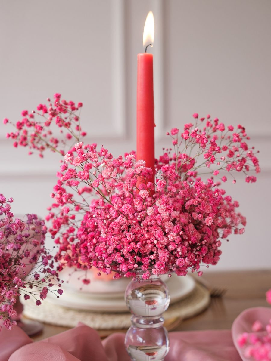 Red Gypsophila from Ball SB to Celebrate Valentines Day