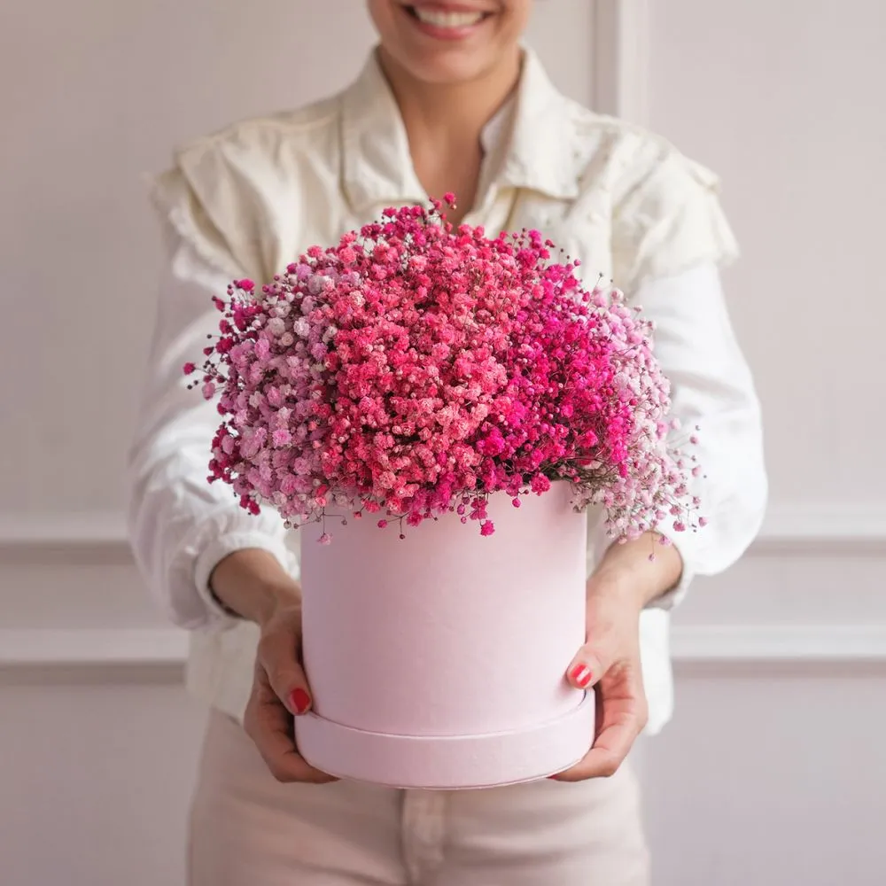 Colored Gypsophila from Ball SB