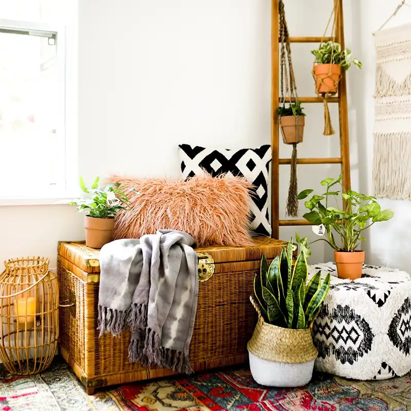 Essential Plants for a Bohemian Interior feature on Thursd