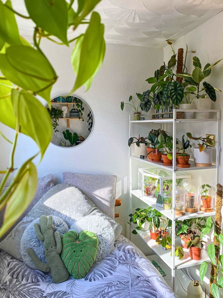 Natural lighting and a variety of houseplants