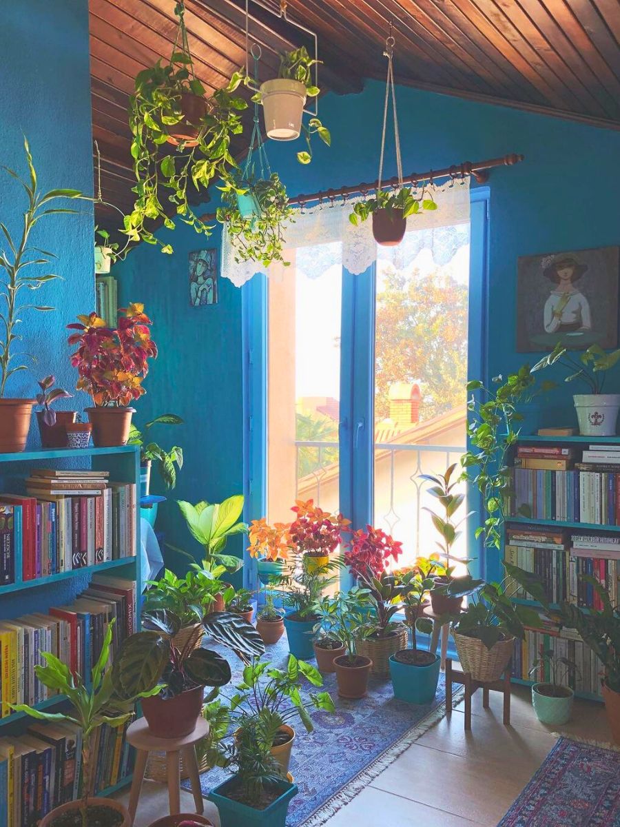 The beauty of decorating indoor spaces with houseplants