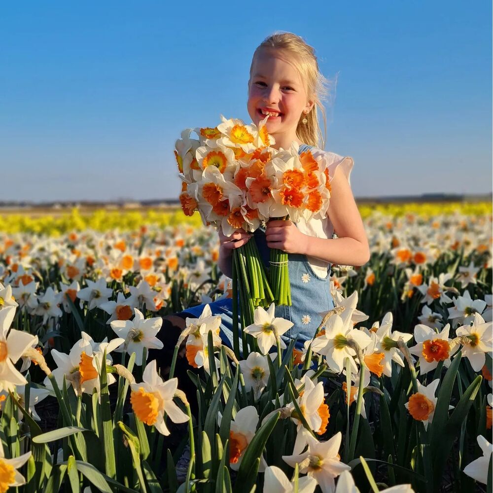 baby girl with Daffodils