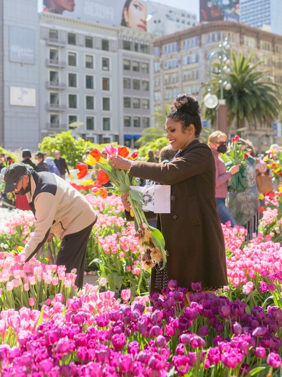 Tulip picking at Union Square for International Women's Day