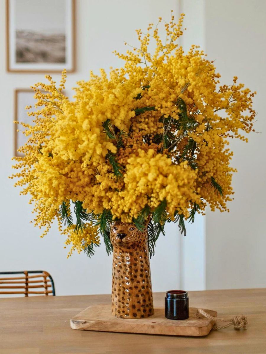 Arrangement made of mimosa flowers