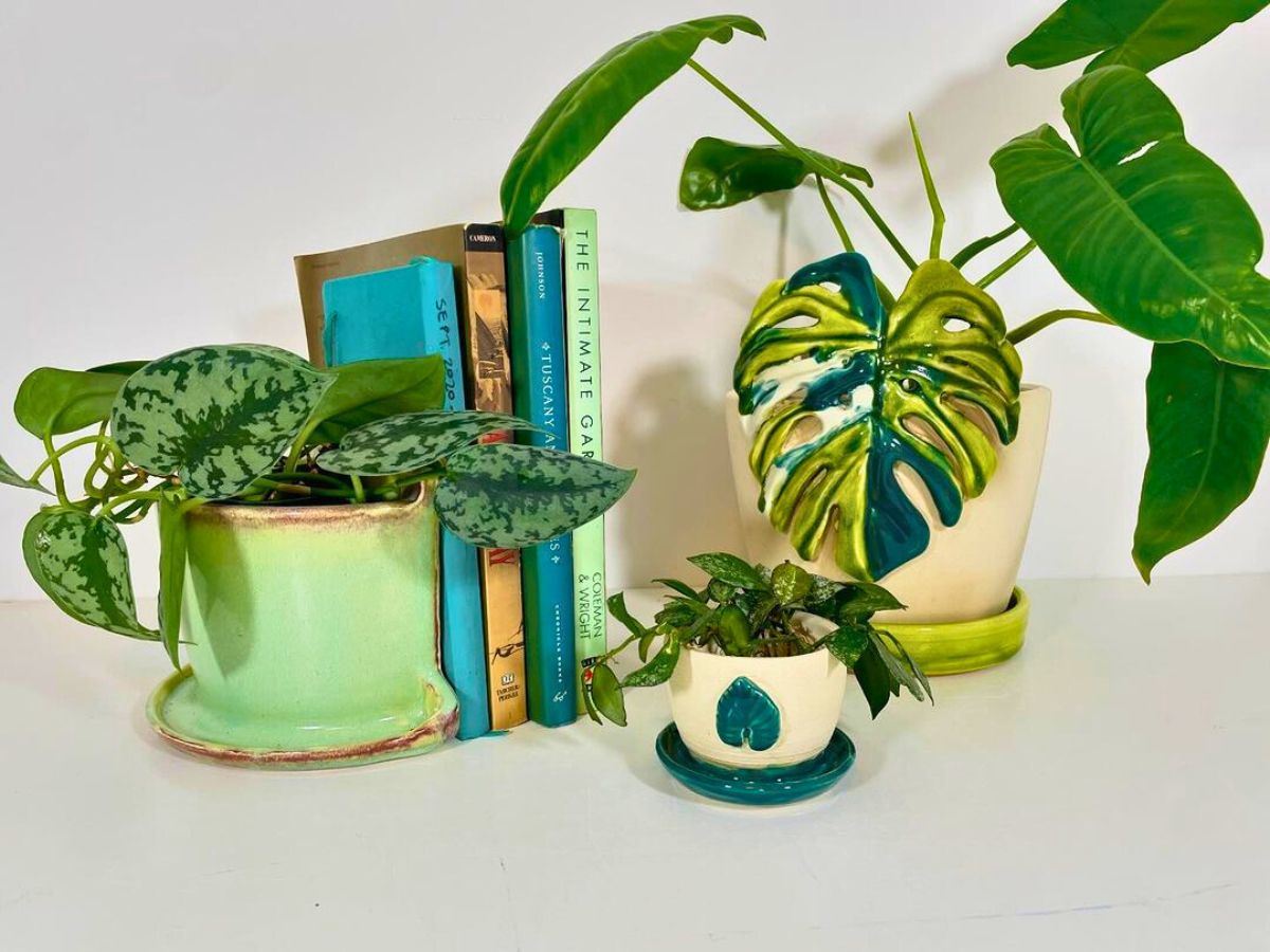 The perfect addition to home spaces with monstera pieces