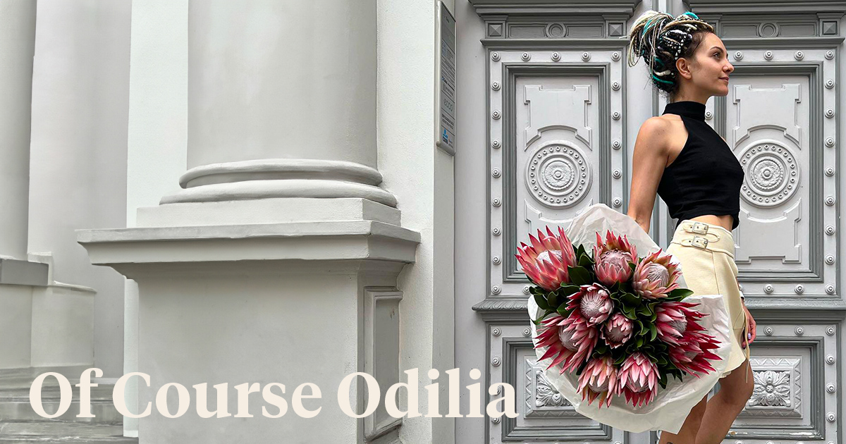 Proteas Odilia by Coloriginz
