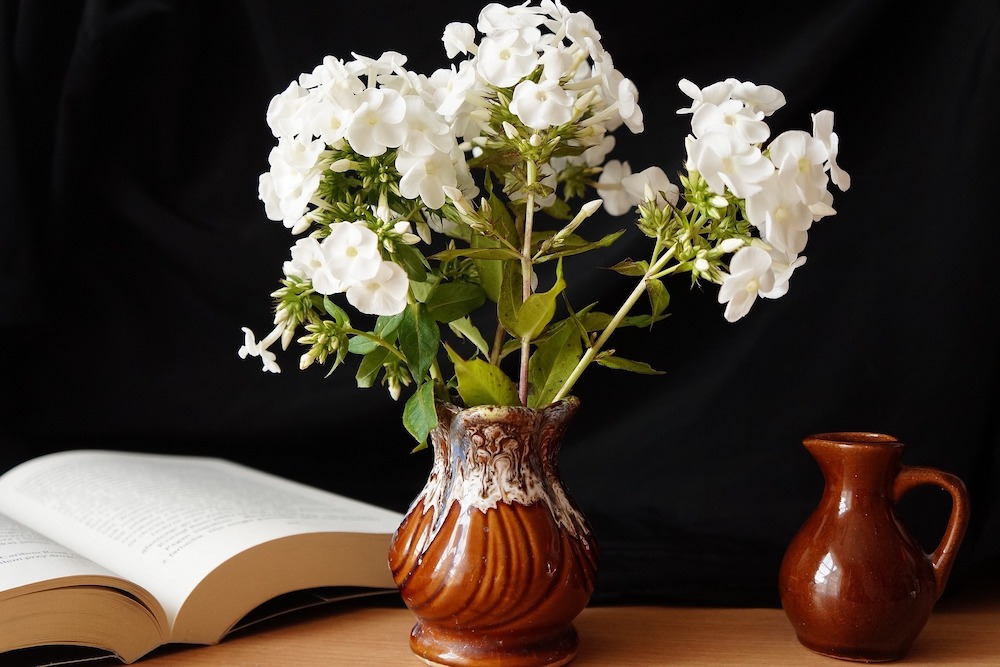 Versatile Phlox With Its Romantic Charm Arrangement