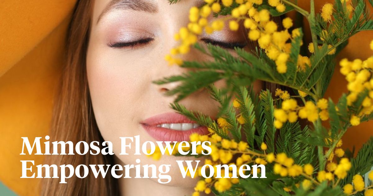 Mimosa flowers as a symbol for women's day