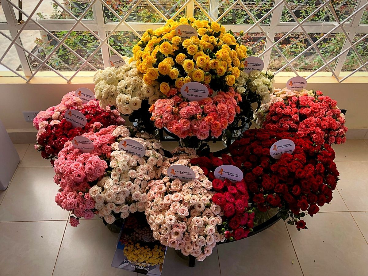 ​Nini Flowers Hosts Different Breeders for Their Open Days
