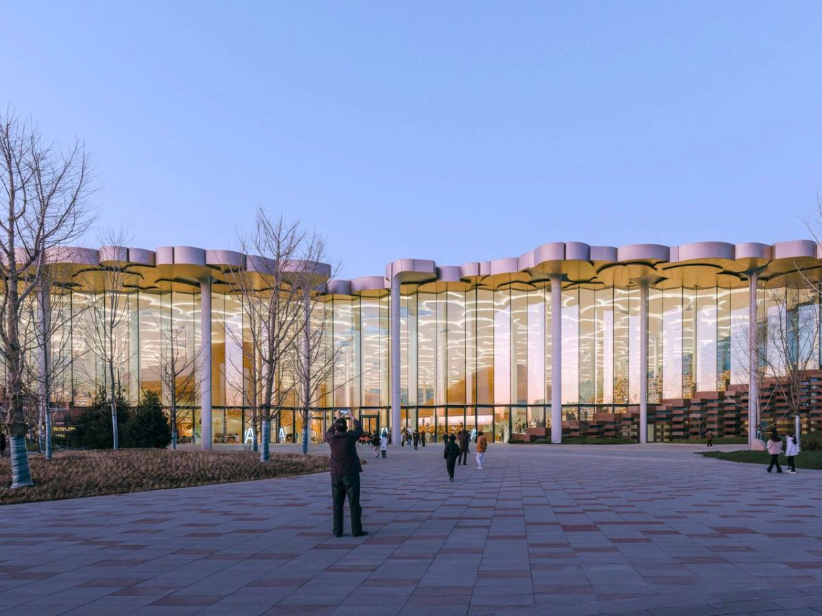 Full view of the new library in Beijing with tree like columns