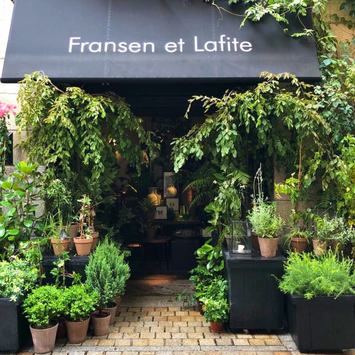 Fransen Et Lafite flower and plant shop in Madrid