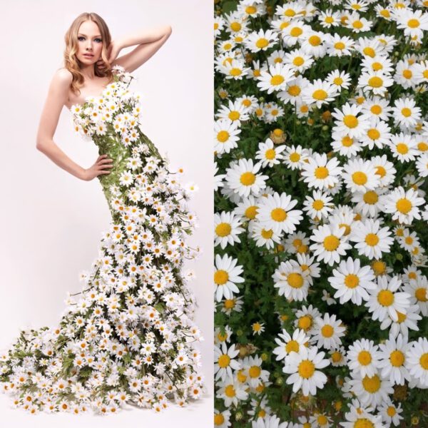 fashion photography with flowers