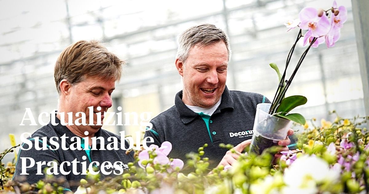 Decorum’s Sustainability Cause: A Commitment to a Greener Plant and Flower Industry