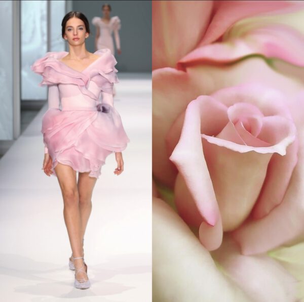 A Journey into Fashion Inspired by Flowers