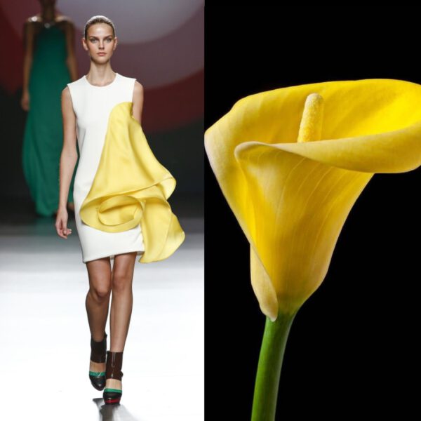 A Love Affair Between Fashion and Flowers - Article onThursd