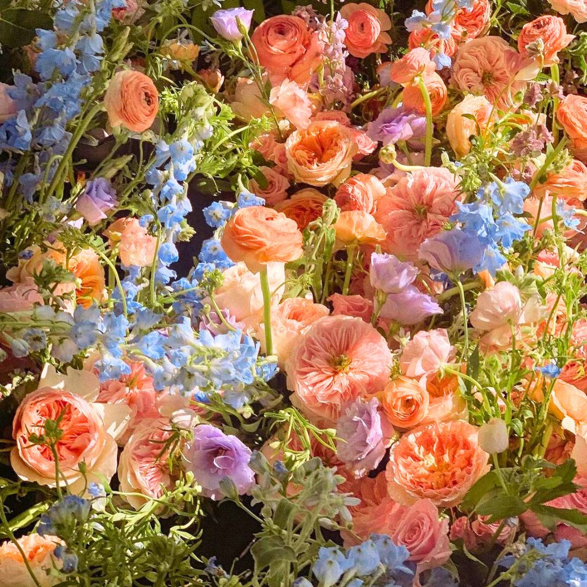 Garden roses and blue delphinium to celebrate National Flower Day