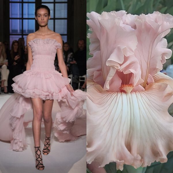 Love Affair Between Fashion and Flowers ...