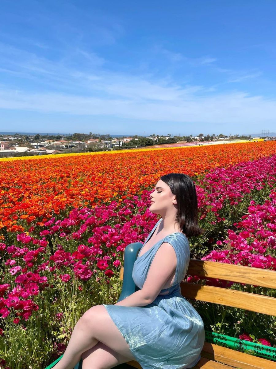 A stunning view of the Carlsbad Flower Fields in CA