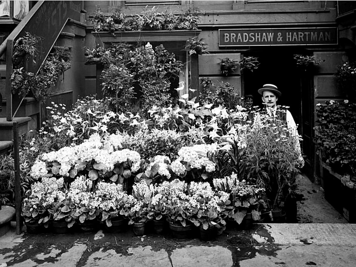 ​James François-Pijuan’s ​Wants to Revive the NYC Historic Floral District