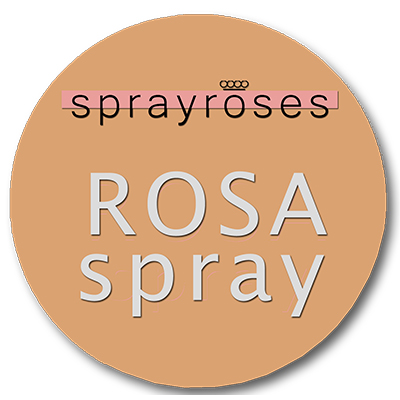 Jan Spek Rozen Spray Roses logo