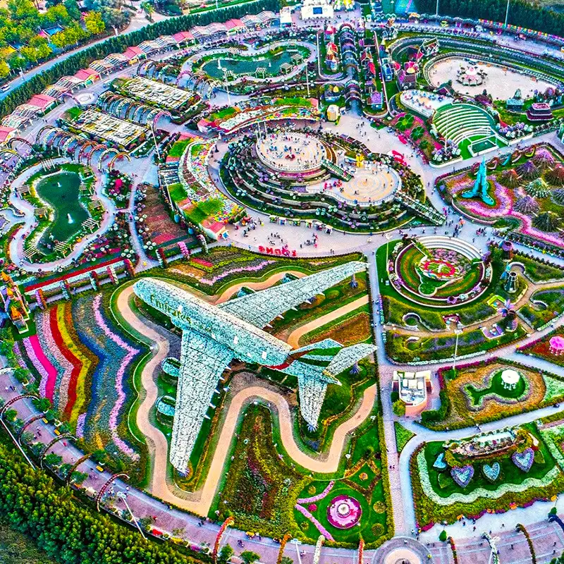 Dubai Miracle Garden square feature on Thursd